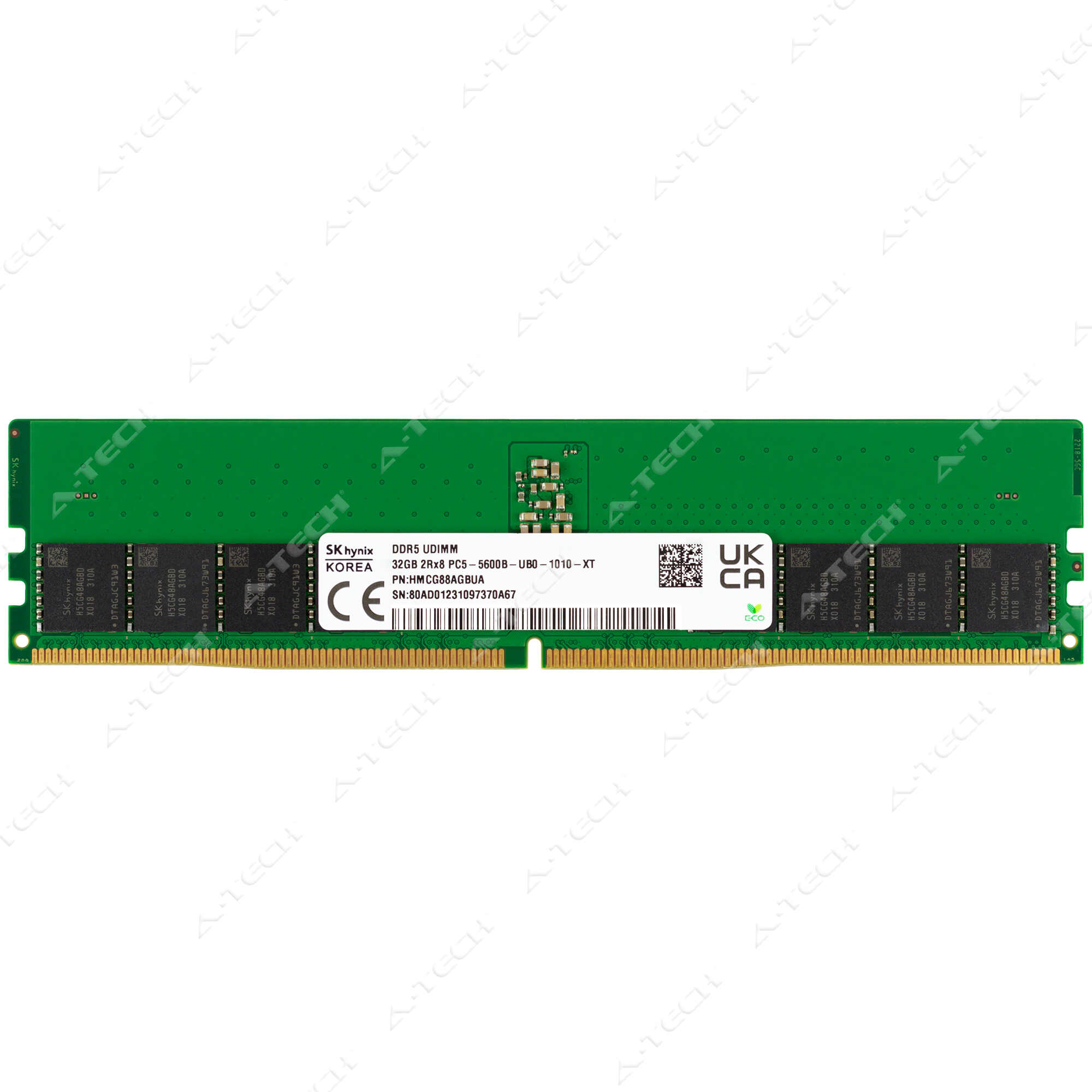 DDR5 32GB x 2 メモリ D5D4800-32G2A ドスパラセレクト D5D4800-32G2A (DDR5 PC5-38400 32GB 2枚組